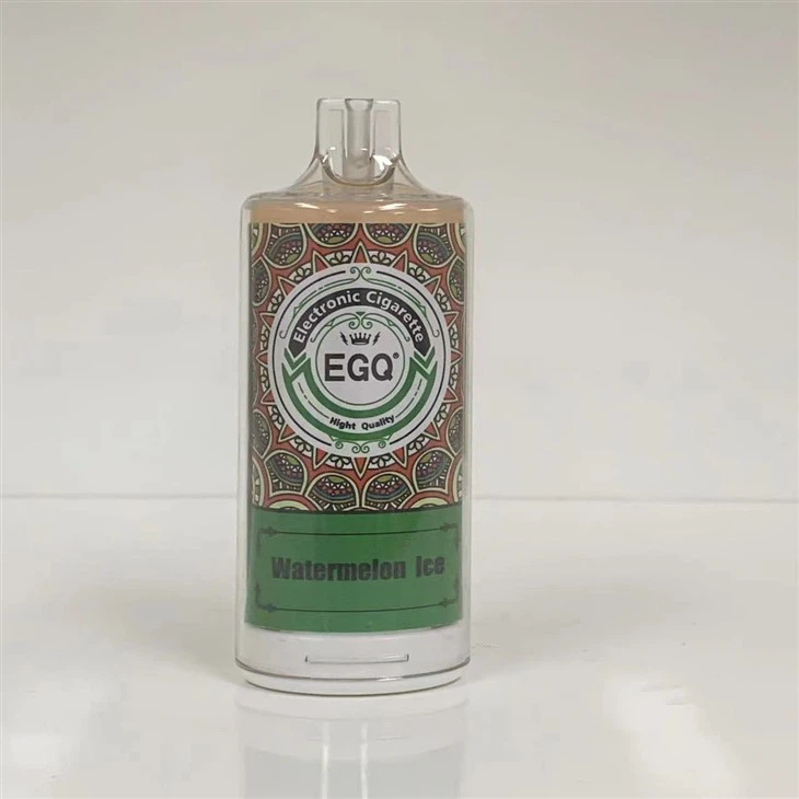 8000 Puffs Electronic Cigarette Disposable Vape Pen