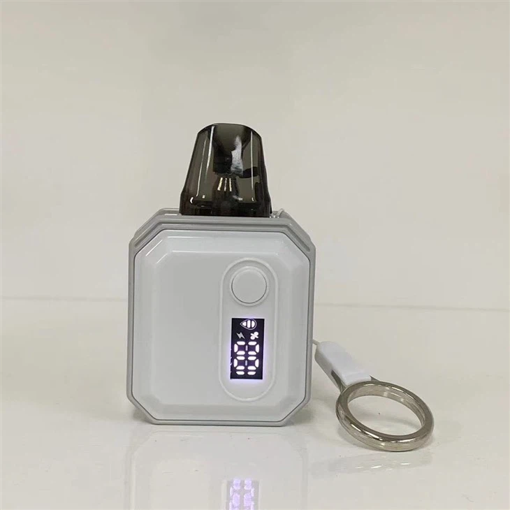 600 Puffs Vape Pod With 10 Flavors Wholesale Price