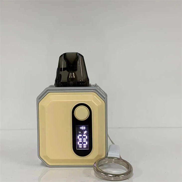 600 Puffs Vape Pod With 10 Flavors Wholesale Price