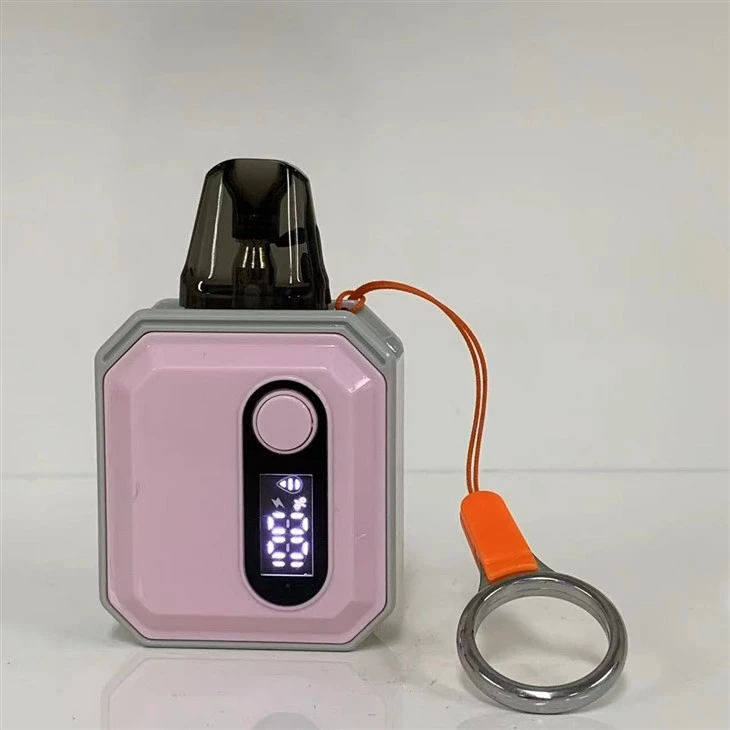 E Cigarette Vape Pod Factory 600 Puff Wholesale Disposable Vape