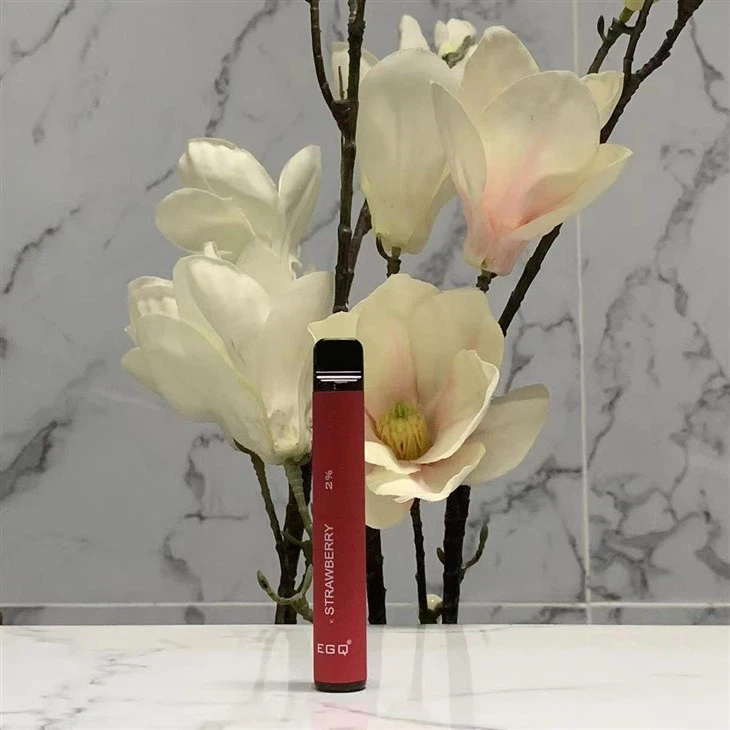 Hot Sell Vape Pen